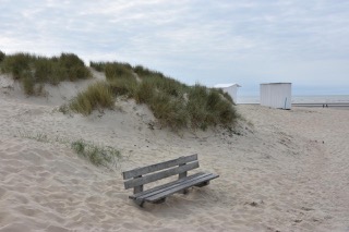 Duinen